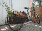 xtracycle-erweiterungskit "free radical" auf einem Surly-Rahmen.