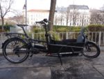 Riese & Müller Load 75